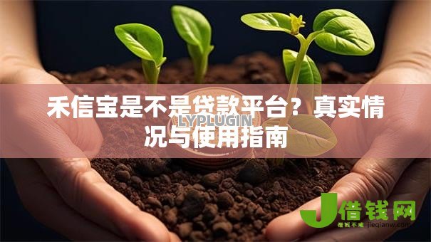 禾信宝是不是贷款平台？真实情况与使用指南