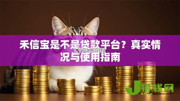 禾信宝是不是贷款平台？真实情况与使用指南