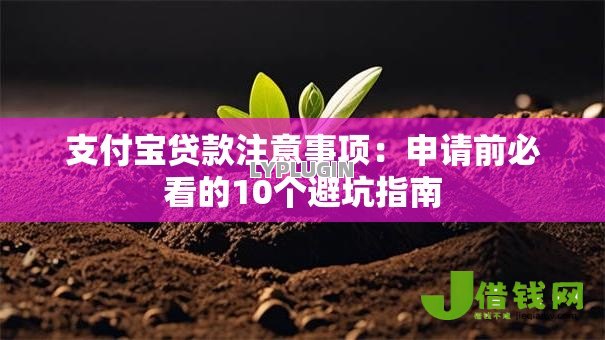 支付宝贷款注意事项：申请前必看的10个避坑指南