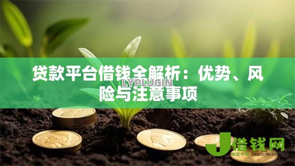 贷款平台借钱全解析：优势、风险与注意事项