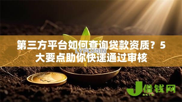 第三方平台如何查询贷款资质？5大要点助你快速通过审核