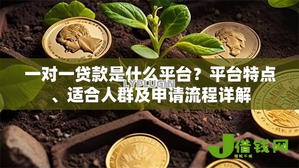 一对一贷款是什么平台？平台特点、适合人群及申请流程详解