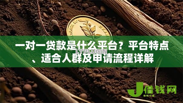 一对一贷款是什么平台？平台特点、适合人群及申请流程详解