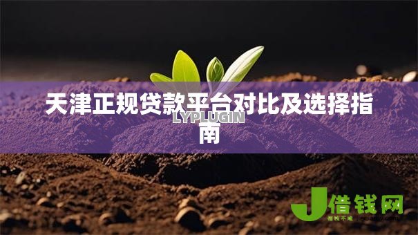 天津正规贷款平台对比及选择指南