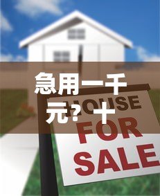 急用一千元？十大靠谱小额贷款平台推荐及申请指南