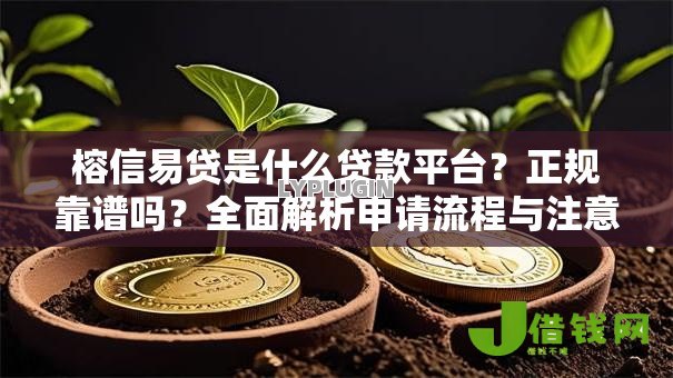 榕信易贷是什么贷款平台?正规靠谱吗?全面解析申请流程与注意事项 榕信易贷是什么贷款平台?正规靠谱吗?全面解析申请流程与注意事项