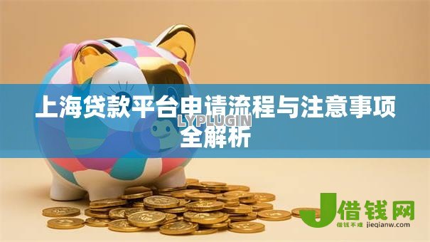 上海贷款平台申请流程与注意事项全解析