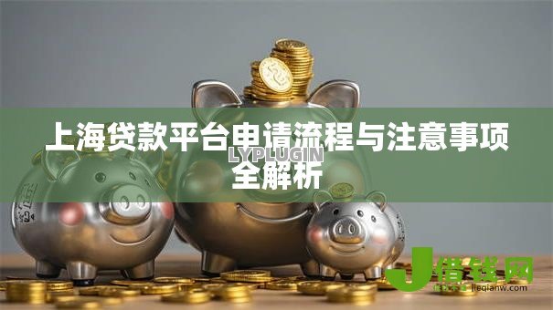 上海贷款平台申请流程与注意事项全解析