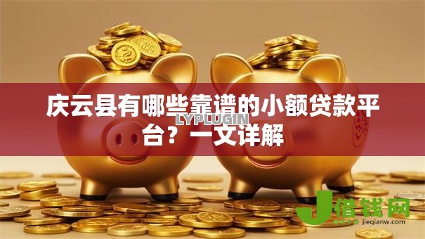 庆云县有哪些靠谱的小额贷款平台？一文详解
