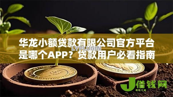 华龙小额贷款有限公司官方平台是哪个APP?贷款用户必看指南 华龙小额贷款有限公司官方平台是哪个APP?贷款用户必看指南