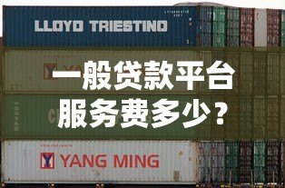 一般贷款平台服务费多少？2023年最新收费标准解析