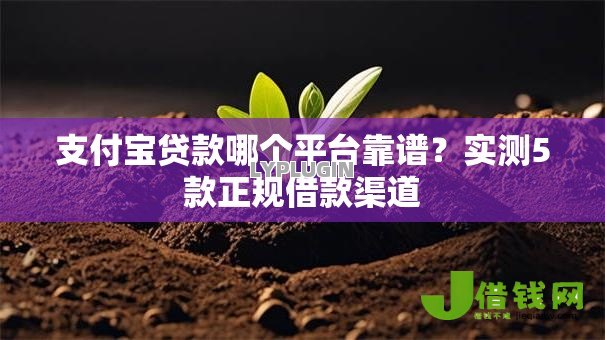 支付宝贷款哪个平台靠谱?实测5款正规借款渠道 支付宝贷款哪个平台靠谱?实测5款正规借款渠道