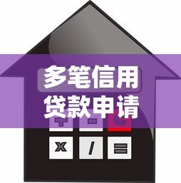 多笔信用贷款申请攻略:如何高效操作与风险控制 多笔信用贷款申请攻略:如何高效操作与风险控制
