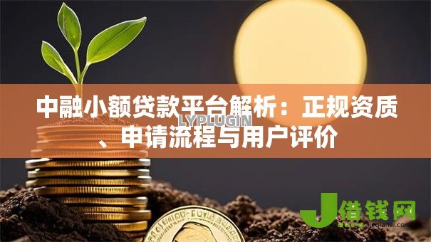 中融小额贷款平台解析:正规资质、申请流程与用户评价 中融小额贷款平台解析:正规资质、申请流程与用户评价