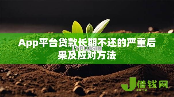 App平台贷款长期不还的严重后果及应对方法