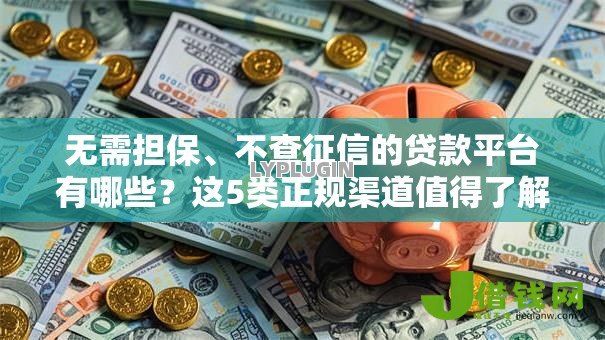 无需担保、不查征信的贷款平台有哪些？这5类正规渠道值得了解！
