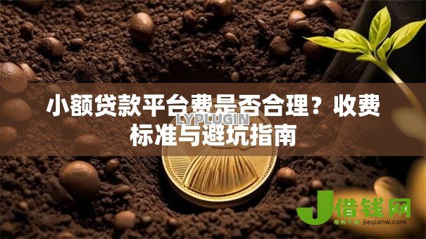 小额贷款平台费是否合理?收费标准与避坑指南 小额贷款平台费是否合理?收费标准与避坑指南