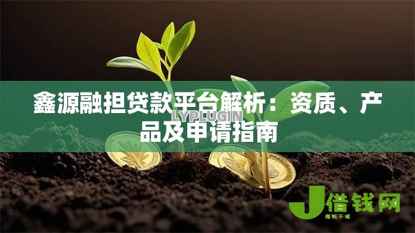 鑫源融担贷款平台解析：资质、产品及申请指南