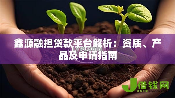 鑫源融担贷款平台解析：资质、产品及申请指南