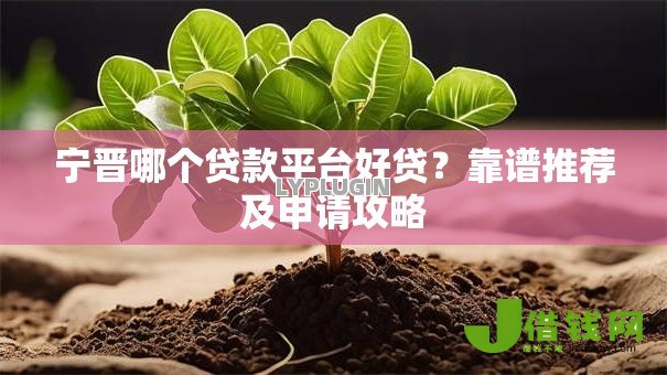 宁晋哪个贷款平台好贷？靠谱推荐及申请攻略