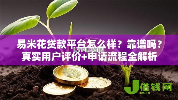 易米花贷款平台怎么样？靠谱吗？真实用户评价+申请流程全解析
