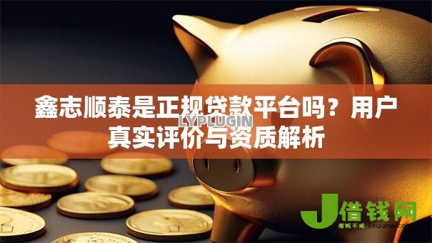 鑫志顺泰是正规贷款平台吗？用户真实评价与资质解析