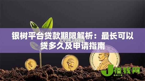 银树平台贷款期限解析:最长可以贷多久及申请指南 银树平台贷款期限解析:最长可以贷多久及申请指南