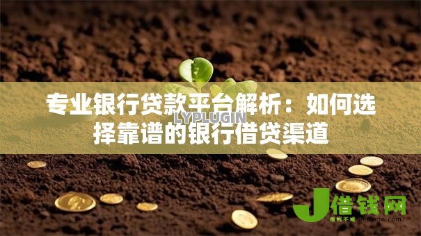 专业银行贷款平台解析：如何选择靠谱的银行借贷渠道