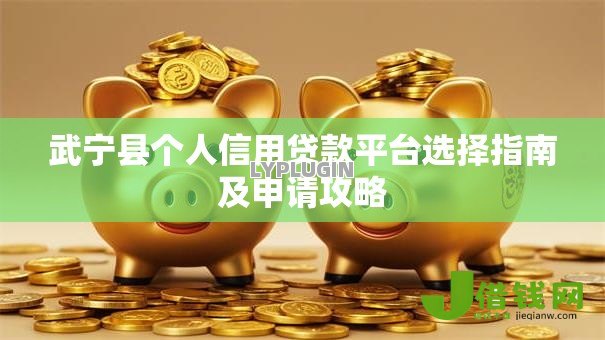 武宁县个人信用贷款平台选择指南及申请攻略