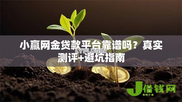 小赢网金贷款平台靠谱吗？真实测评+避坑指南
