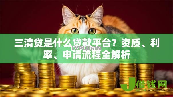 三清贷是什么贷款平台？资质、利率、申请流程全解析