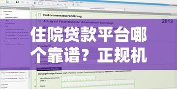 住院贷款平台哪个靠谱?正规机构推荐及申请指南 住院贷款平台哪个靠谱?正规机构推荐及申请指南