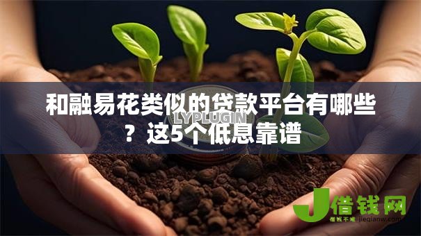 和融易花类似的贷款平台有哪些?这5个低息靠谱 和融易花类似的贷款平台有哪些?这5个低息靠谱