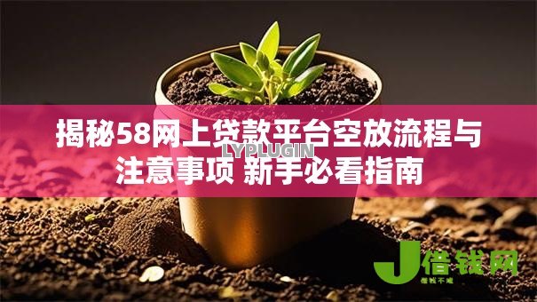 揭秘58网上贷款平台空放流程与注意事项 新手必看指南 揭秘58网上贷款平台空放流程与注意事项 新手必看指南