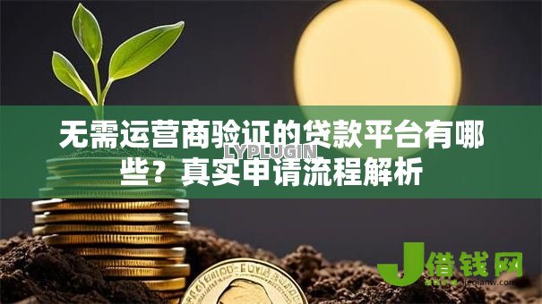 无需运营商验证的贷款平台有哪些？真实申请流程解析
