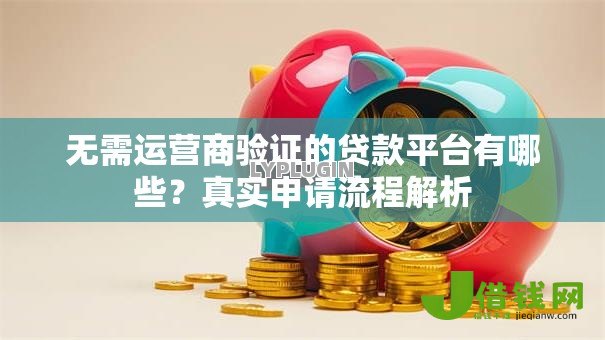 无需运营商验证的贷款平台有哪些？真实申请流程解析
