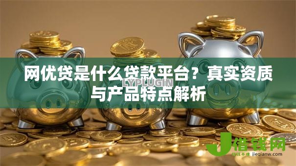 网优贷是什么贷款平台?真实资质与产品特点解析 网优贷是什么贷款平台?真实资质与产品特点解析