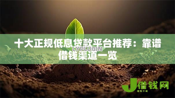 十大正规低息贷款平台推荐：靠谱借钱渠道一览