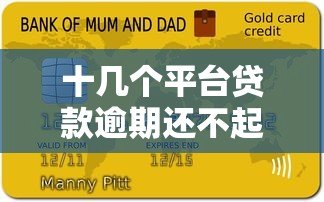 十几个平台贷款逾期还不起？自救指南与应对策略