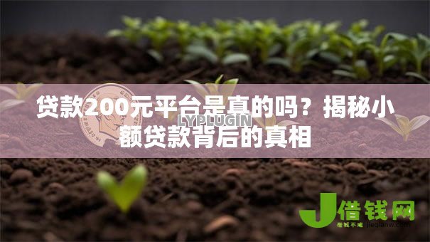 贷款200元平台是真的吗？揭秘小额贷款背后的真相