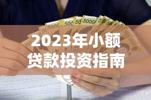2023年小额贷款投资指南:如何挑选安全可靠的网贷平台 2023年小额贷款投资指南:如何挑选安全可靠的网贷平台