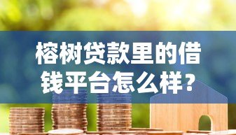 榕树贷款里的借钱平台怎么样？真实评测与用户反馈