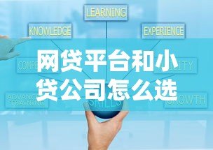 网贷平台和小贷公司怎么选?10个贷款知识点帮你避坑 网贷平台和小贷公司怎么选?10个贷款知识点帮你避坑