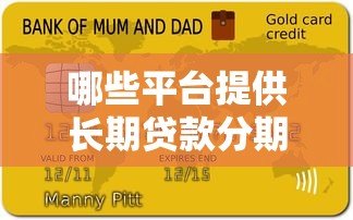 哪些平台提供长期贷款分期？十大机构对比分析
