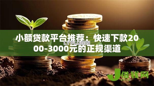 小额贷款平台推荐：快速下款2000-3000元的正规渠道