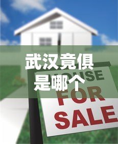 武汉竟俱是哪个贷款平台?真实情况揭秘与正规贷款推荐 武汉竟俱是哪个贷款平台?真实情况揭秘与正规贷款推荐