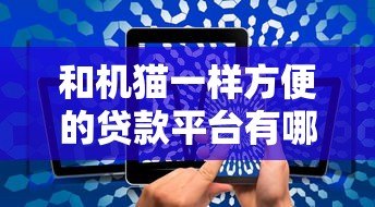 和机猫一样方便的贷款平台有哪些？这5家快速审批、低利率平台实测对比