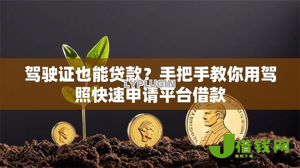 驾驶证也能贷款?手把手教你用驾照快速申请平台借款 驾驶证也能贷款?手把手教你用驾照快速申请平台借款