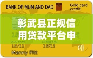 彰武县正规信用贷款平台申请指南及注意事项