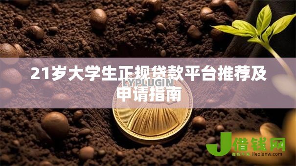 21岁大学生正规贷款平台推荐及申请指南